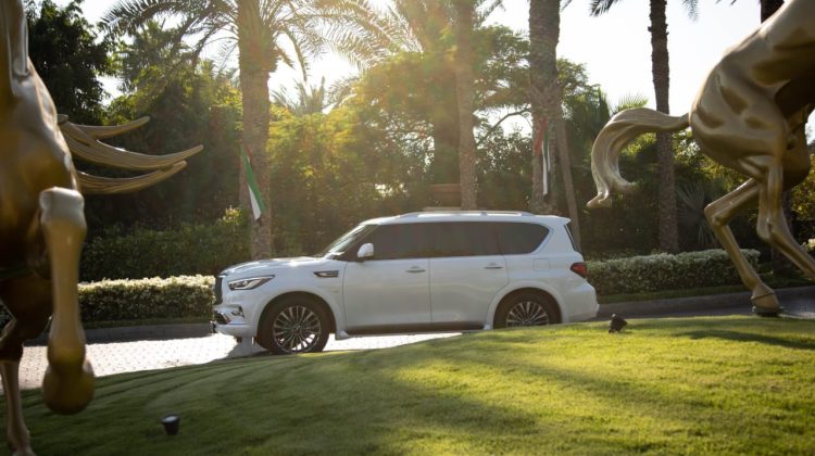 Infiniti QX 80 Rental Cars