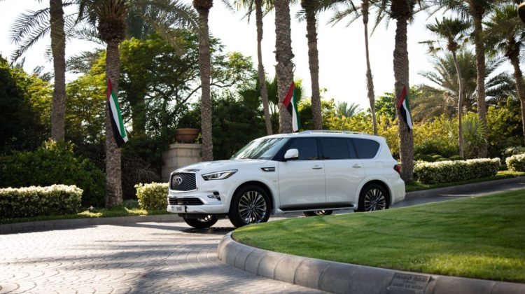 Infiniti QX 80 White Rental Car